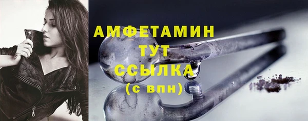 прущие грибы Аркадак