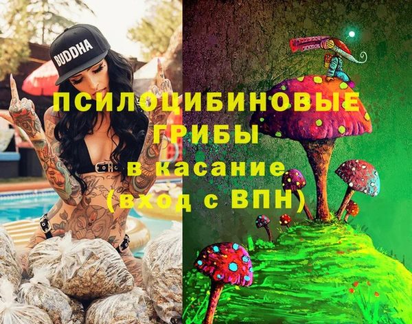 сатива Алексеевка